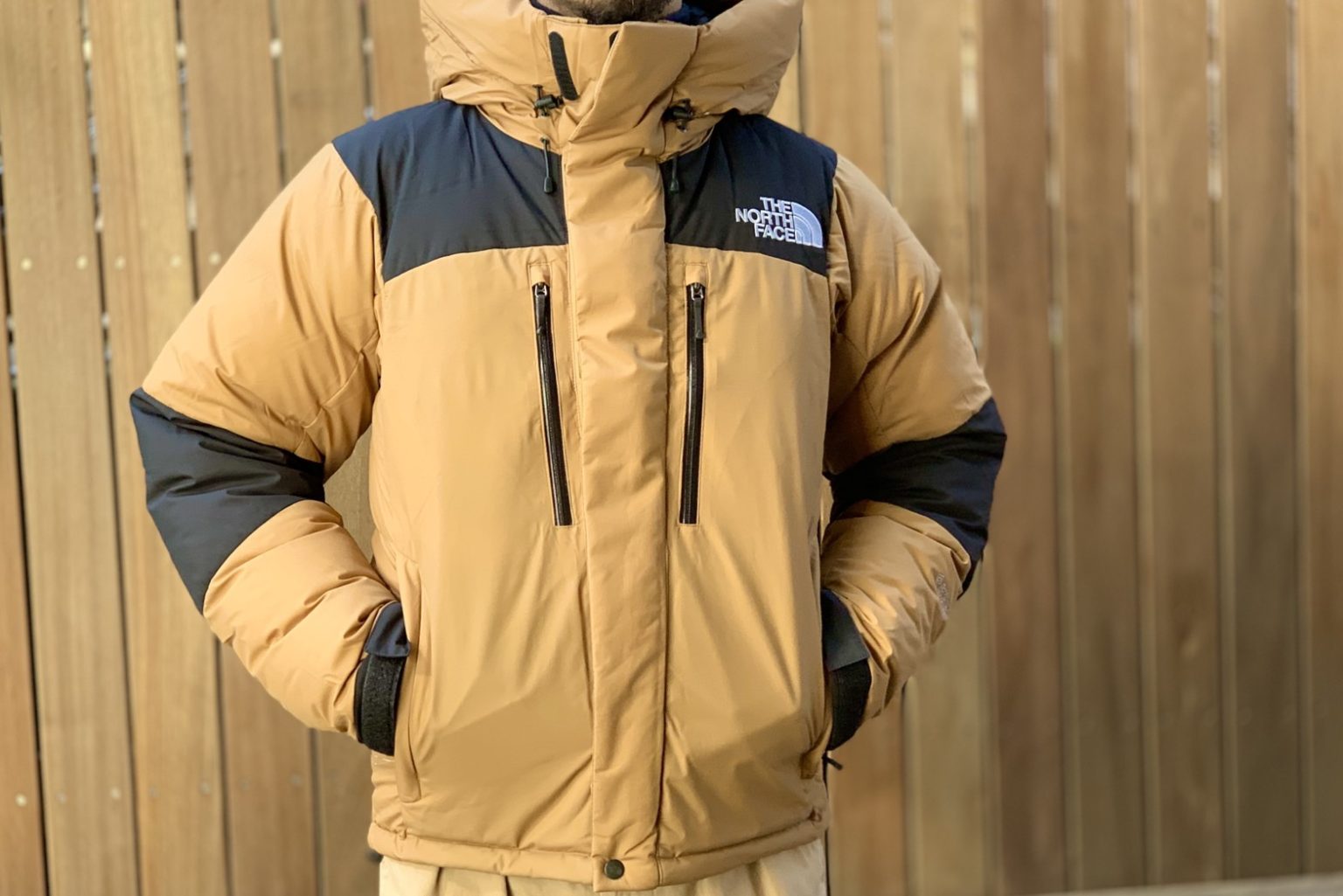 #0278 -THE NORTH FACE Baltro Light Jacket- / ROOT