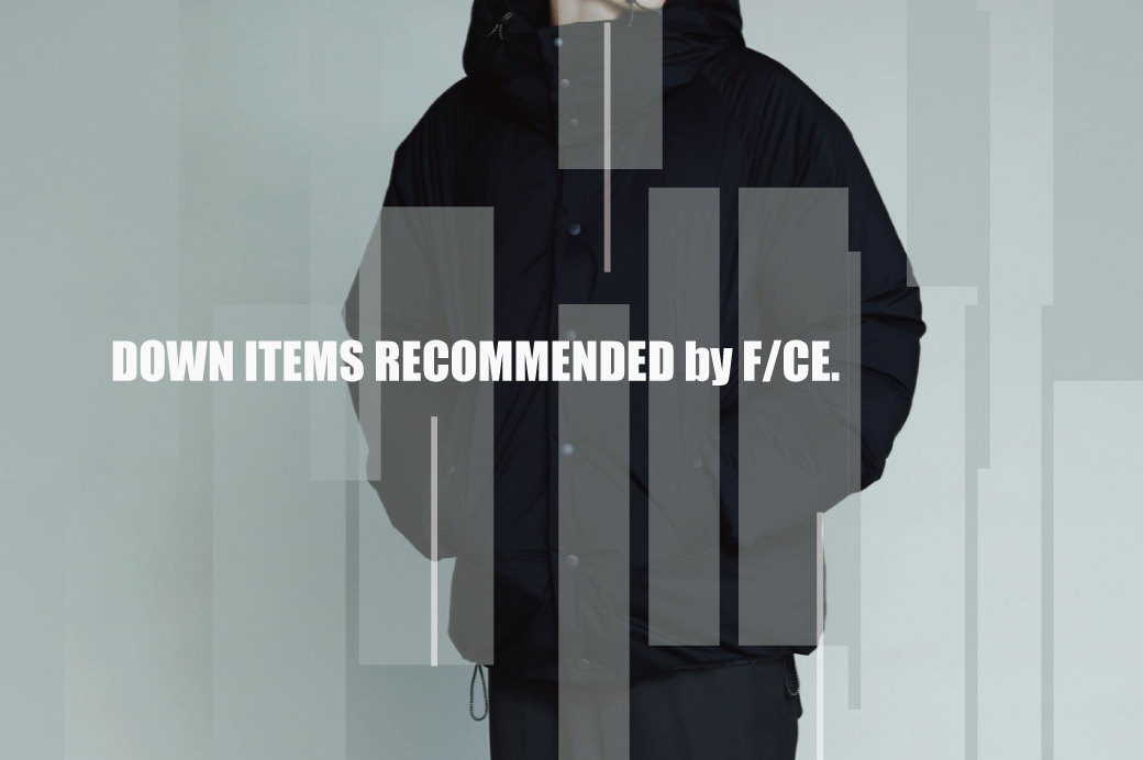 DOWN ITEMS RECOMMENDED by F/CE
